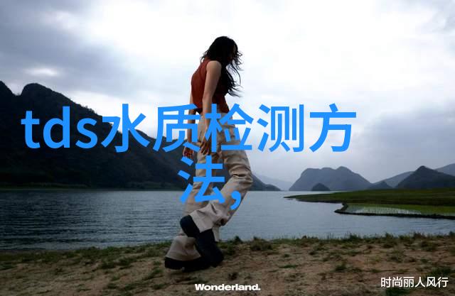 PXSJ-216型离子计