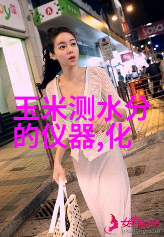 DWS-51型钠离子计
